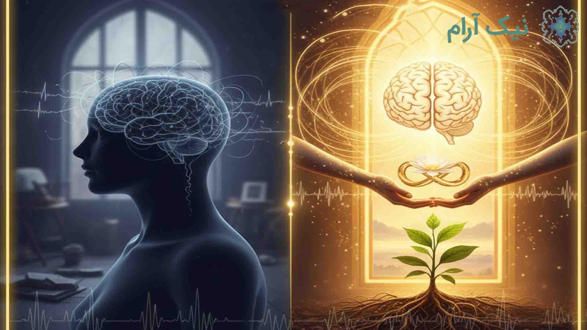 نوروفیدبک در ایران