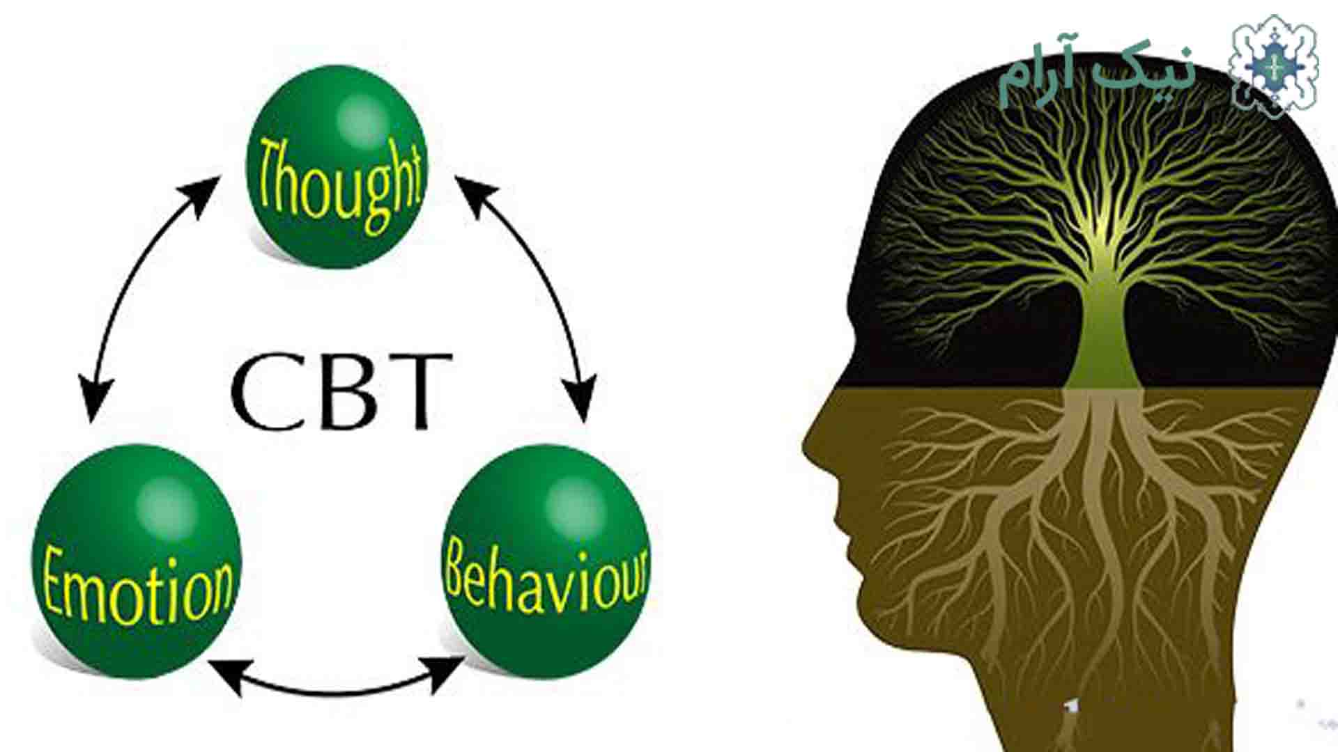 شناختی رفتاری