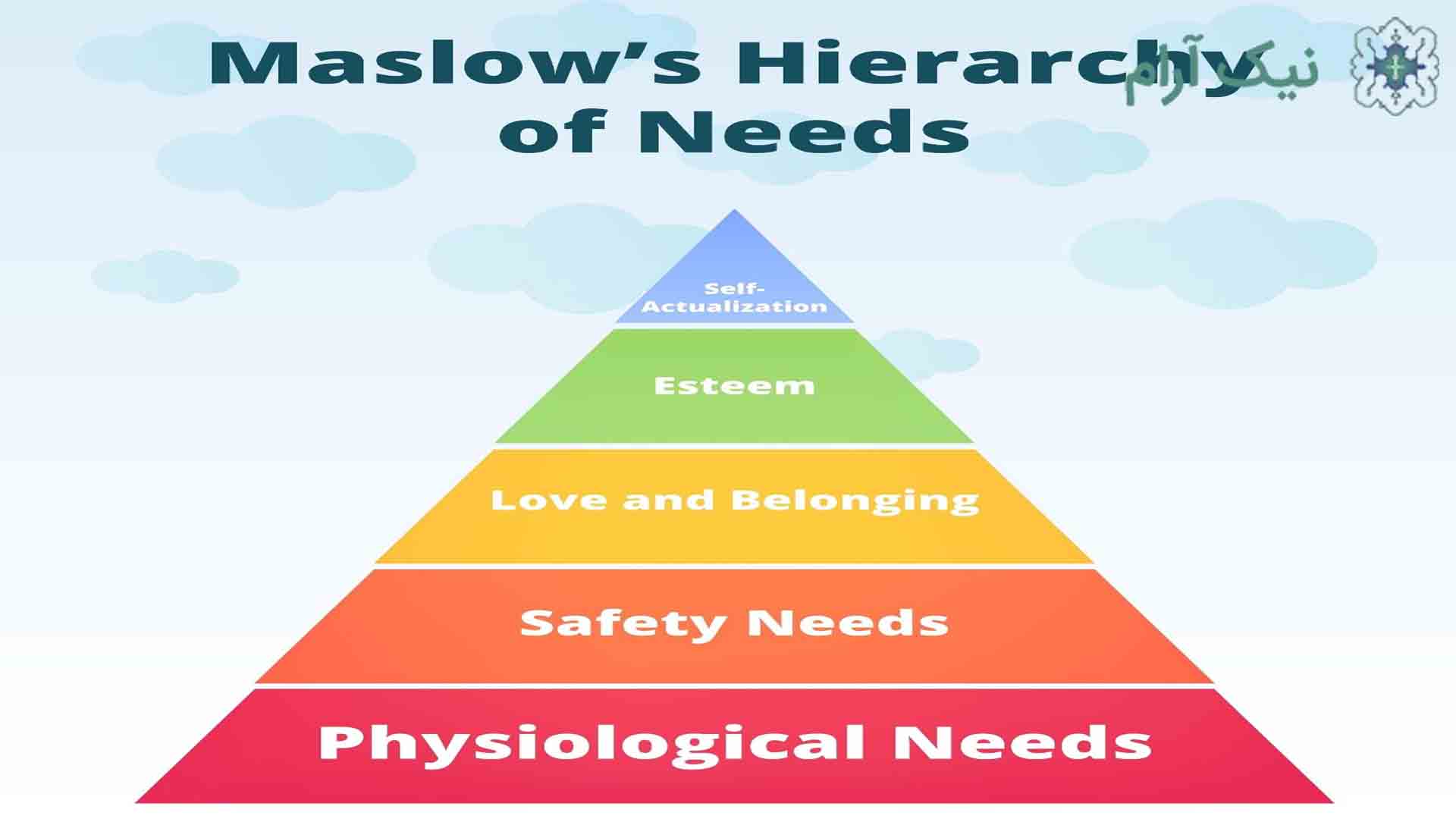 ترنسپرسونال